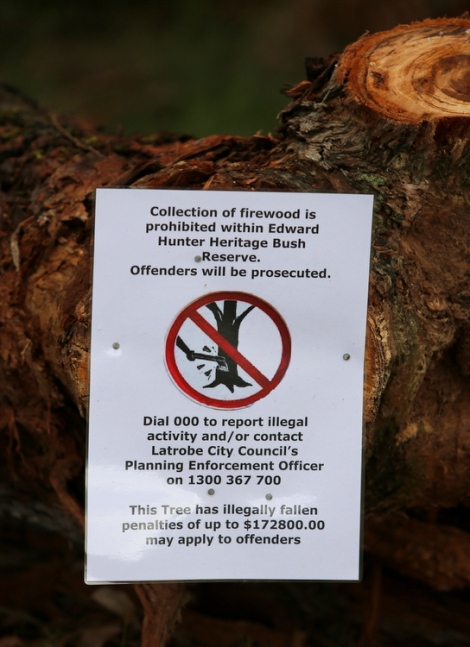 Shows sign placed on illegally felled eucalypt in Reserve, Edward Hunter Heritage Bush Reserve